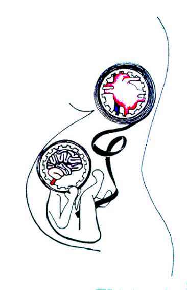 Amk / Howard Stelzer - Cartoon (565x565)