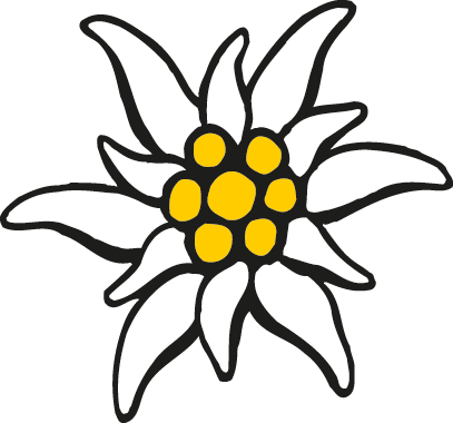 Edelweiss Png (407x380)