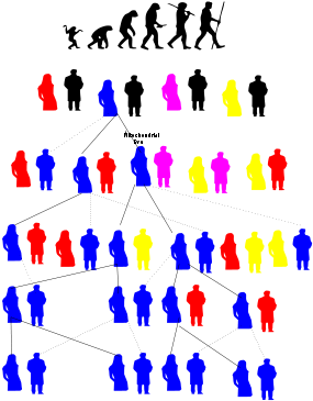 Mohammed - Evolution (300x424)