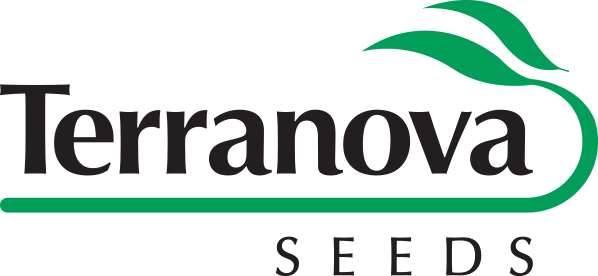 Terranova Seeds Logo (598x276)