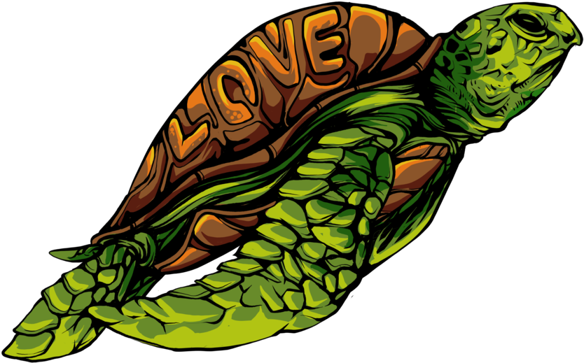 Tortoise (879x630)
