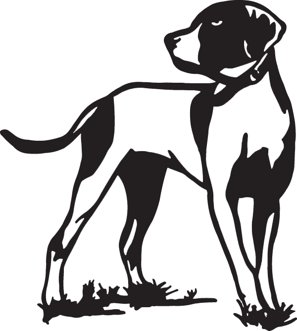 Bird Dog - Bird Dog Drawing (600x668)