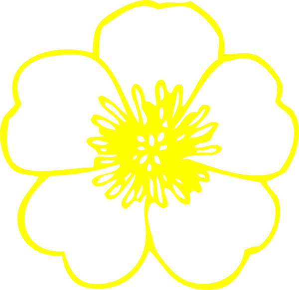 Flower (600x582)