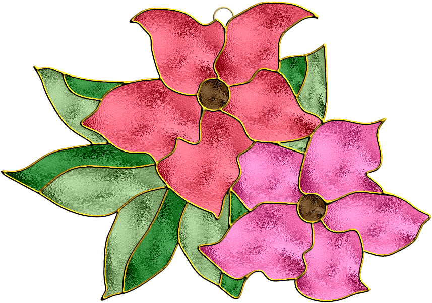 Flôres - Mandevilla (857x602)
