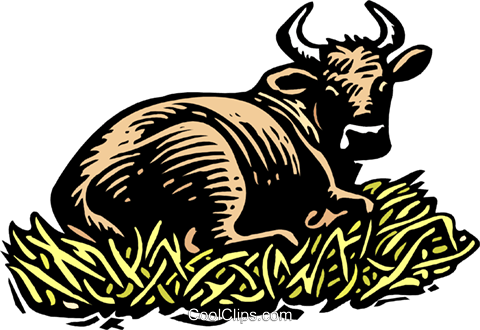 Bull - Bull (480x330)