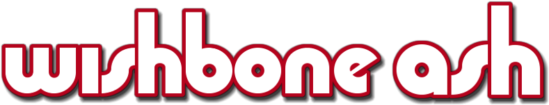 Wishbone Ash Image - Wishbone Ash Logo Png (800x310)