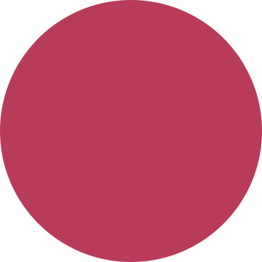 Circle - Pink Circle Transparent (370x370)