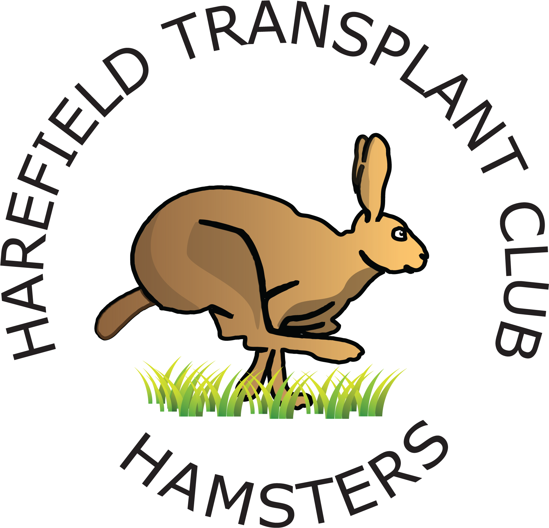 Harefield Hamsters - Domestic Rabbit (2000x1924)