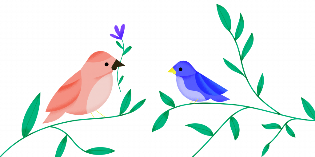 Eastern Bluebird (1024x512)