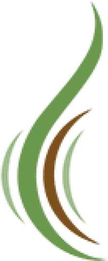 Https - //sgpainsolutions - - Https - //sgpainsolutions - (512x512)
