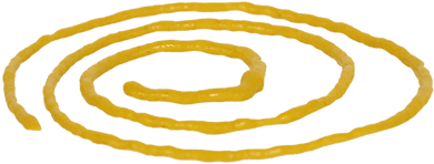 Circle (400x400)