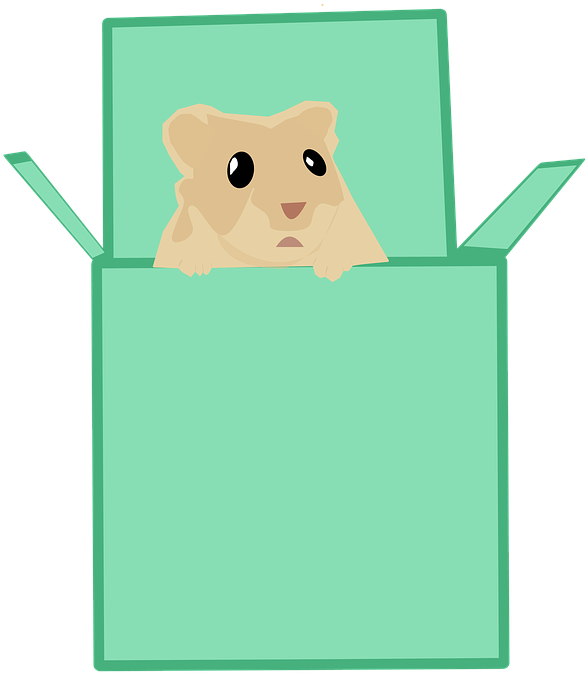 Hamster (720x720)
