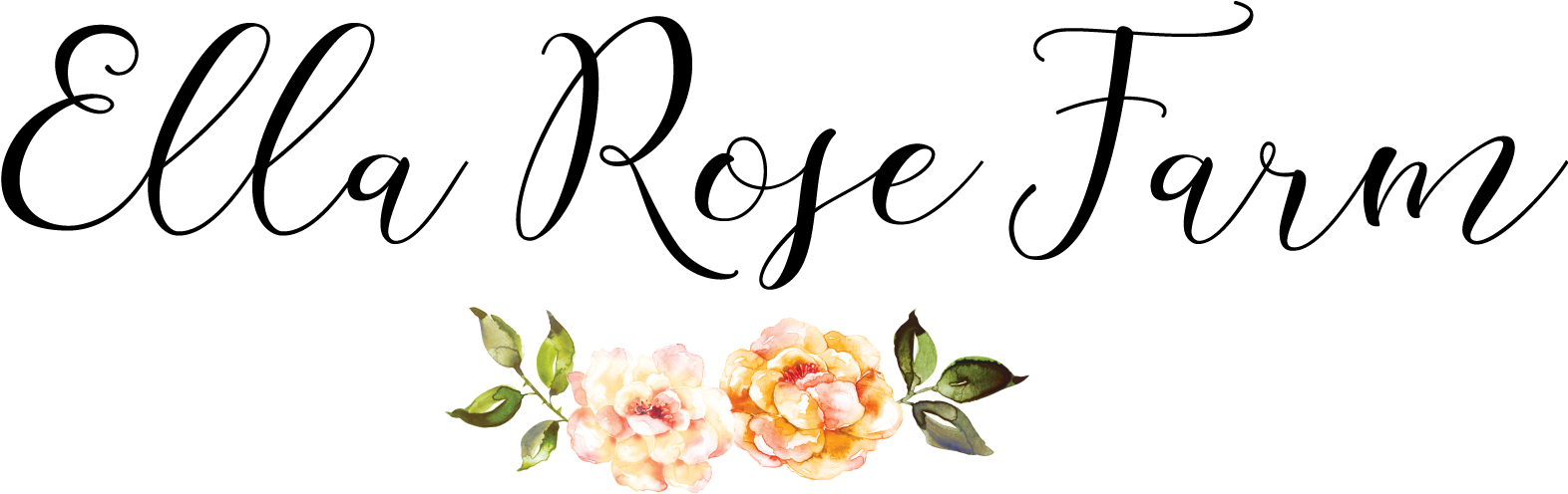 Ella Rose Calligraphy (1571x520)