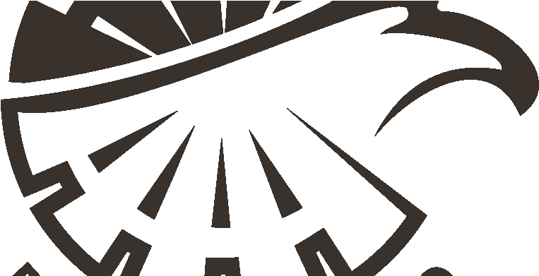 Black Diamond Camps Tabling Session - Camp Eagle Logo (780x390)