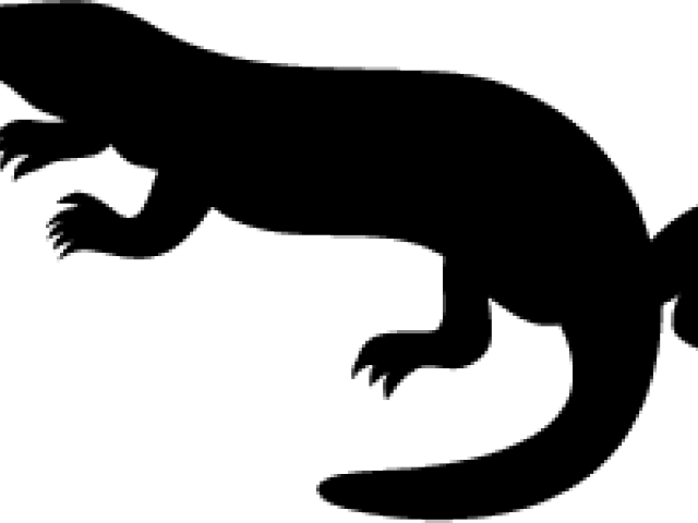 Lizard (640x480)