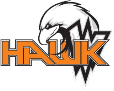 The Hawk Package Provides Impressive Performance Combined - Graphic Design (500x312)