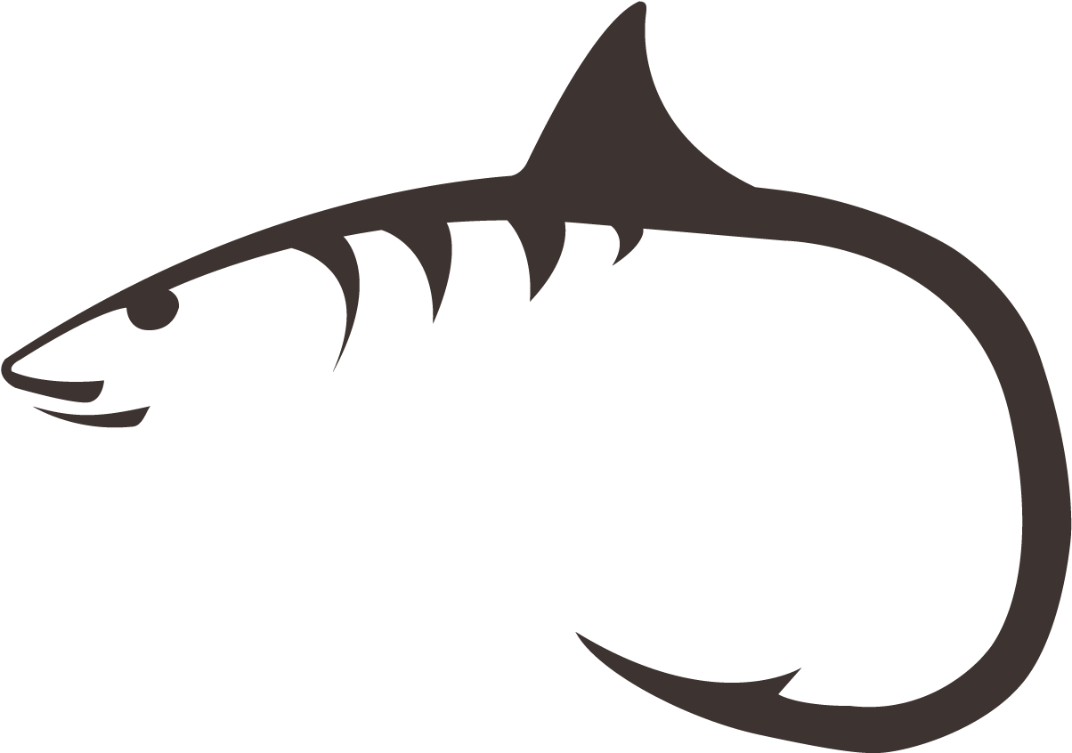 Shark (1296x864)