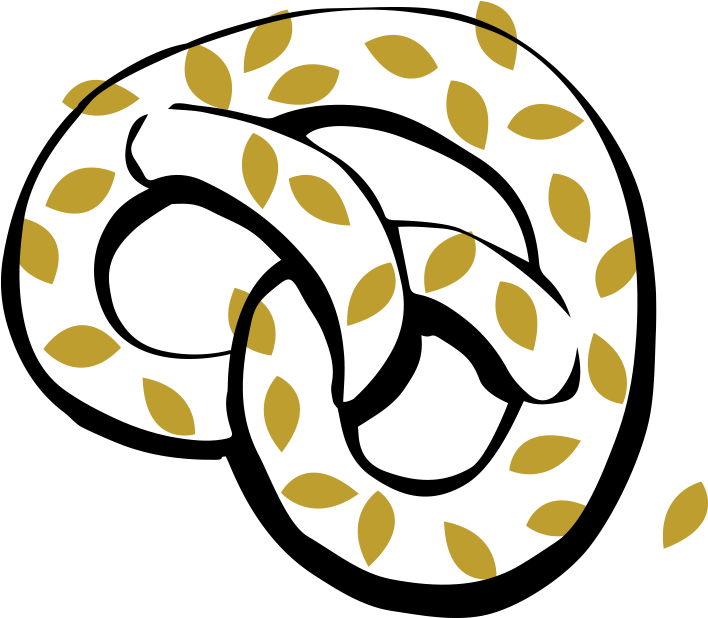 Pumpkin Seed Pretzel - Common Sunflower (1200x840)