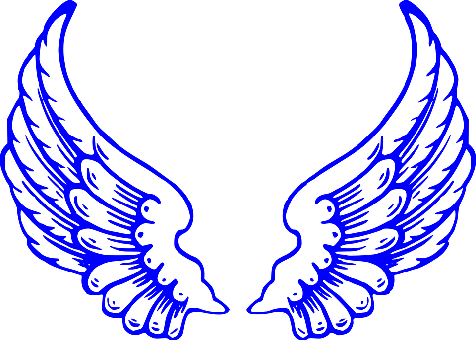 Falcon Wings Clip Art (960x685)