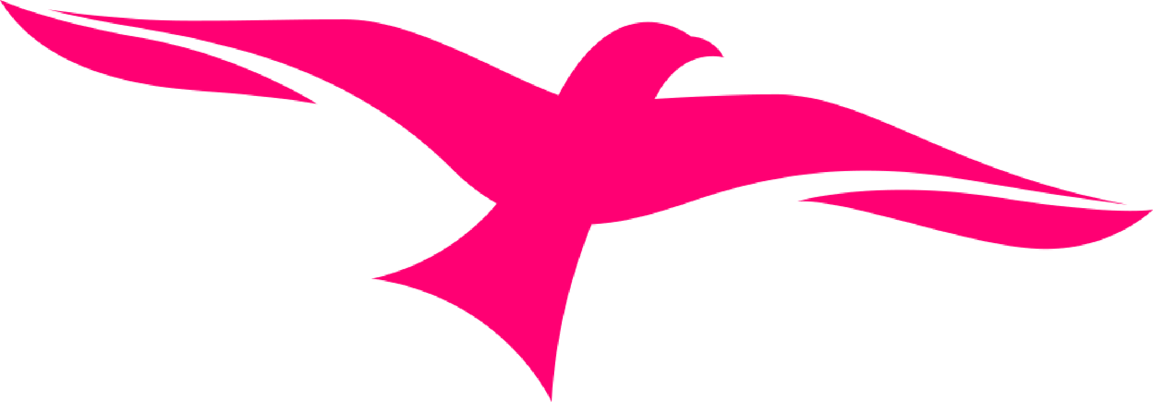The Red Kite - The Red Kite (2272x792)