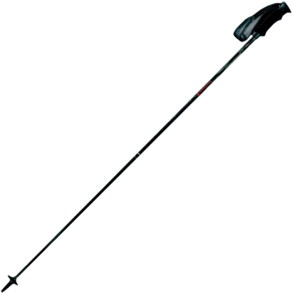 Ski Poles - Bastoncini Da Sci (480x480)