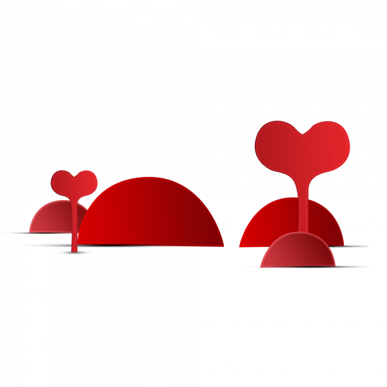 Heart (768x768)