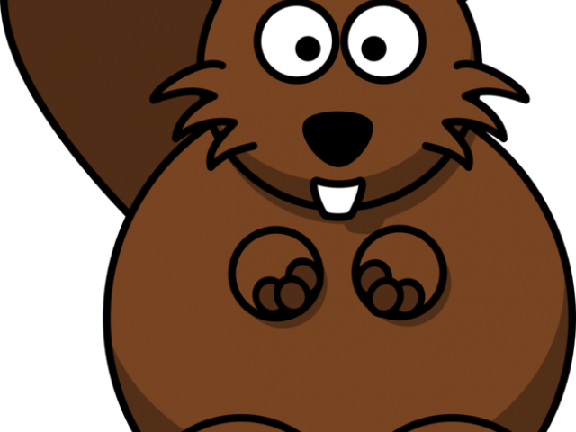 Transparent Background Beaver Clipart (640x480)