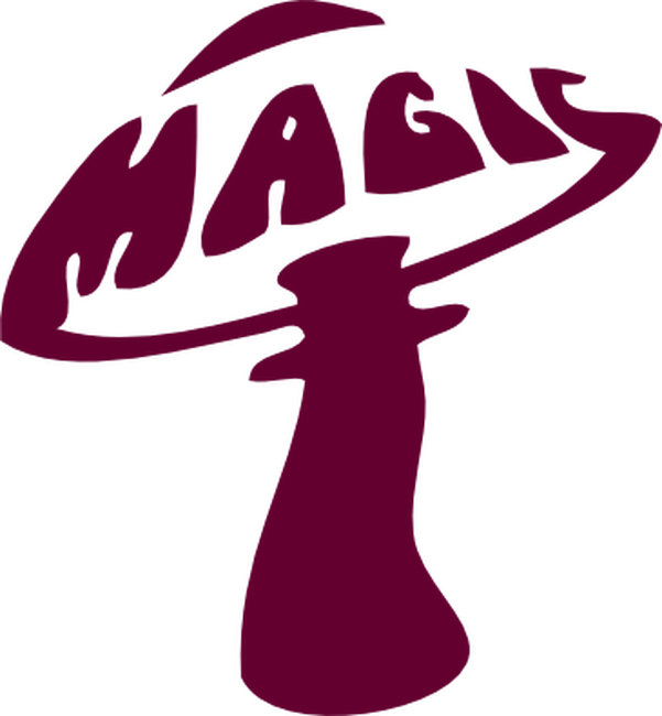 Magic Mushroom - Magic Mushroom (601x650)