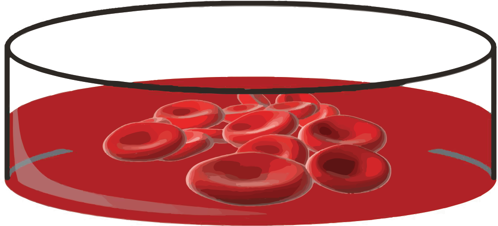 Next Steps - Serveware (1007x458)