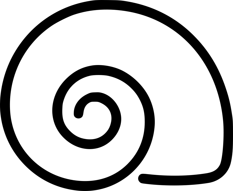 Snail Shell House Nautilus Comments - Circle (980x802)