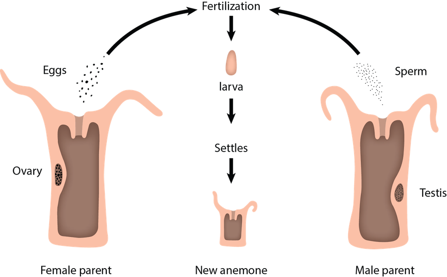 <p><strong>fig - 3 - 30 - </strong> - <p><strong>fig - 3 - 30 - </strong> (900x559)