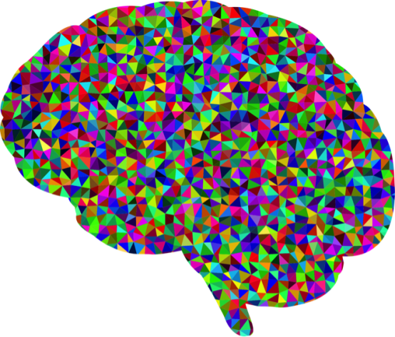 How Memory Works - Brain Colorful (554x473)