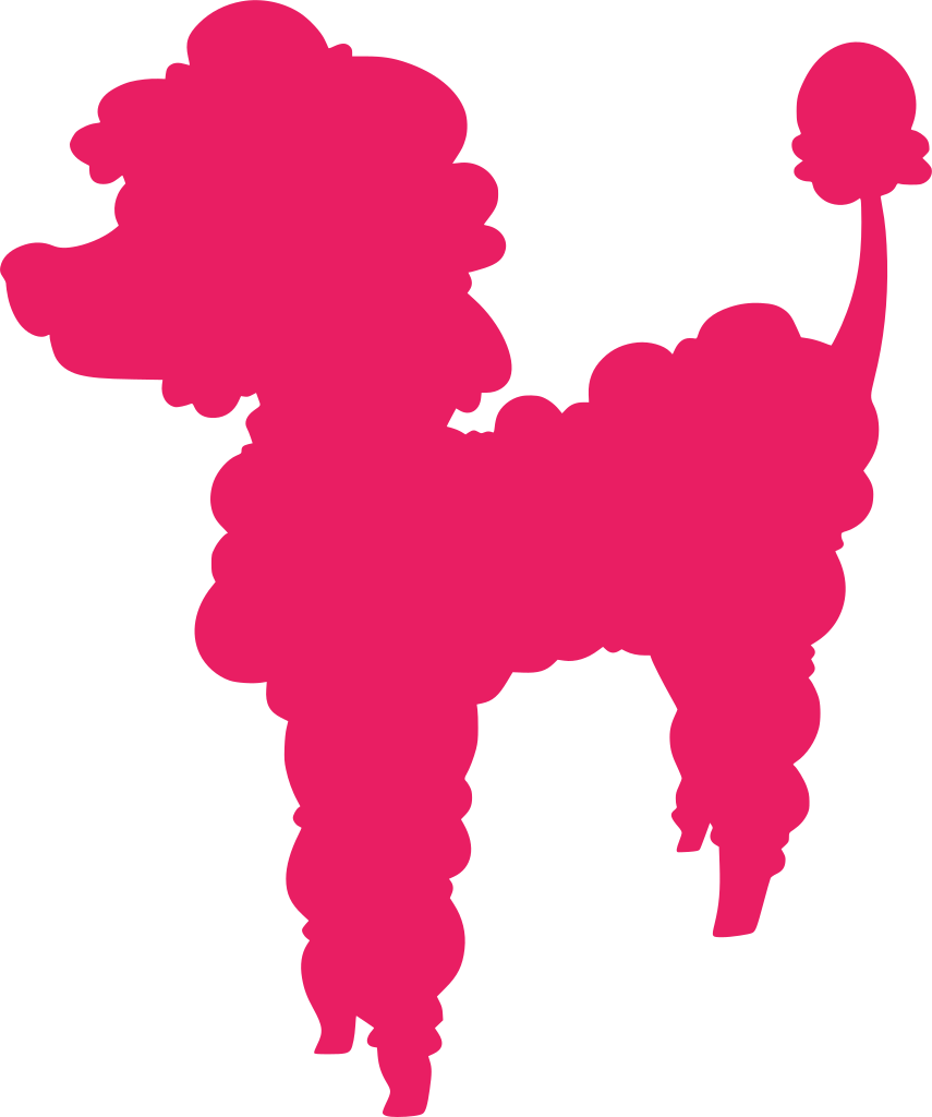 855 X 1024 0 - Miniature Poodle (855x1024)