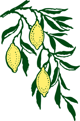 Lemon Branch Clip Art (332x500)