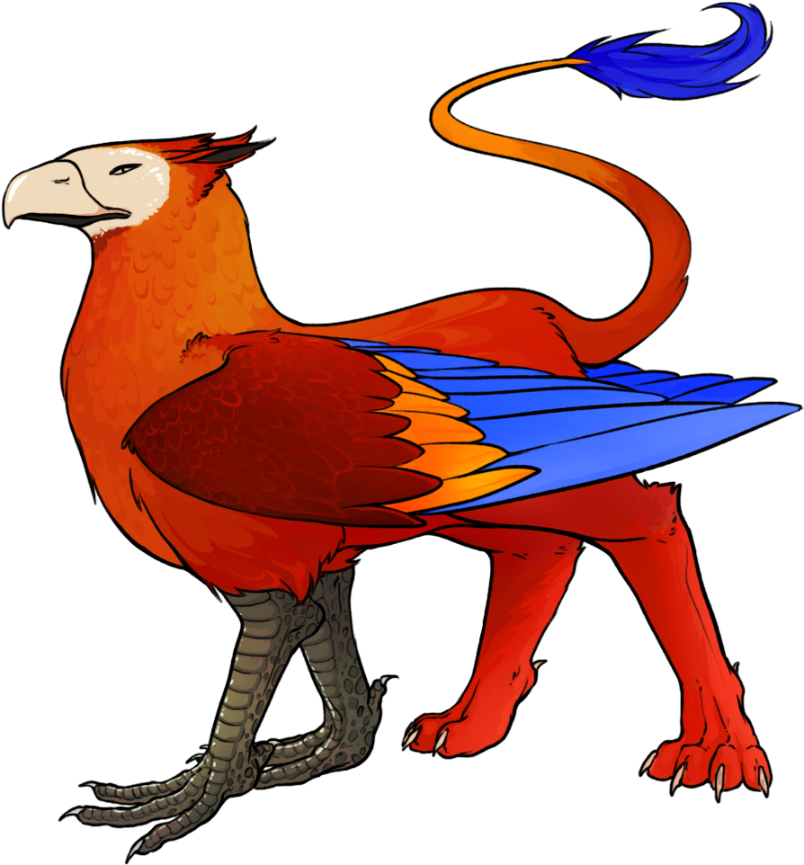 Gryphon Macaw Red - Chicken (1000x1000)