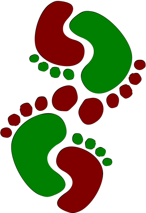 Foot (500x727)