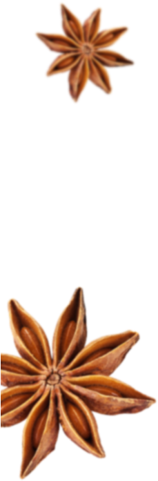 Spices - Flower (361x787)