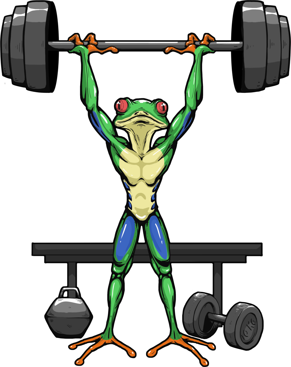 Biceps Curl (951x1200)