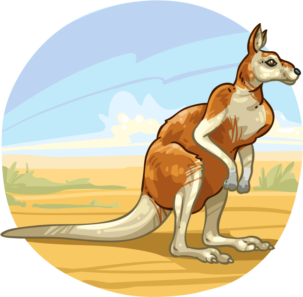 Down Under - Kangaroo (1024x1024)