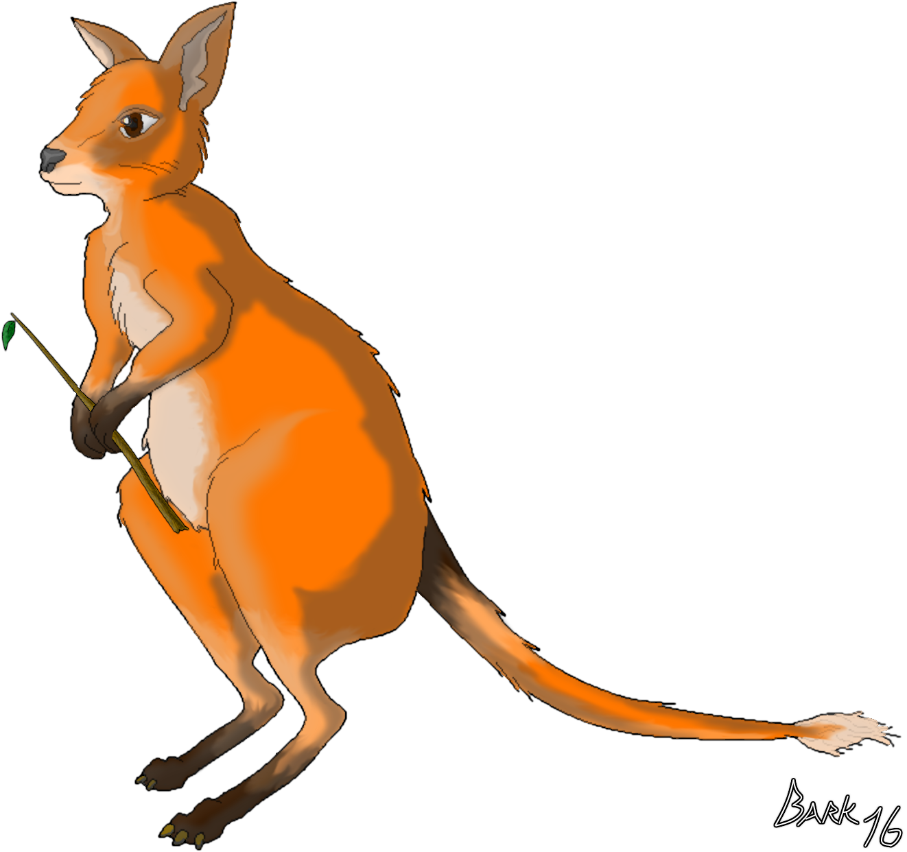 A - Kangaroo (1350x1250)