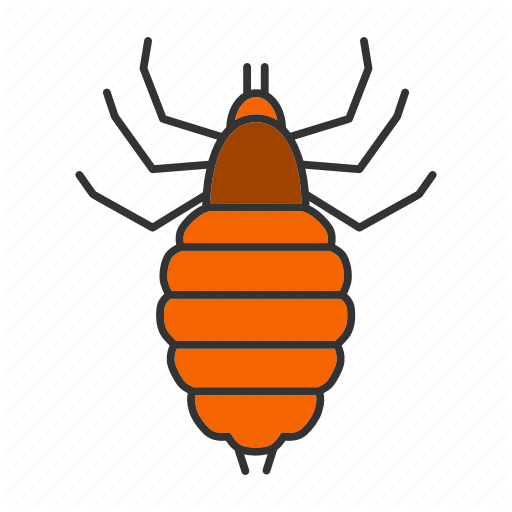 512 X 512 2 - Louse (512x512)