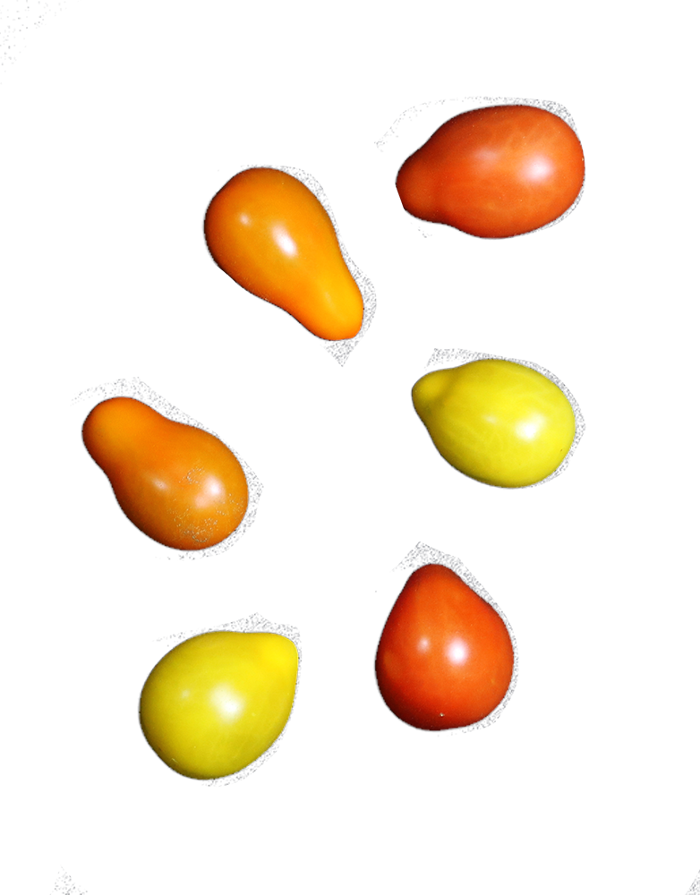 Eminent Cherry Teardrop - Vegetable (782x1000)