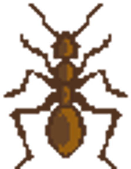 Weevil (600x600)