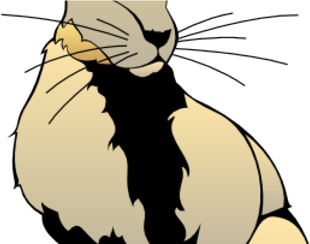 Jack Rabbit Clipart Rabbit Hunting - Hare (640x480)