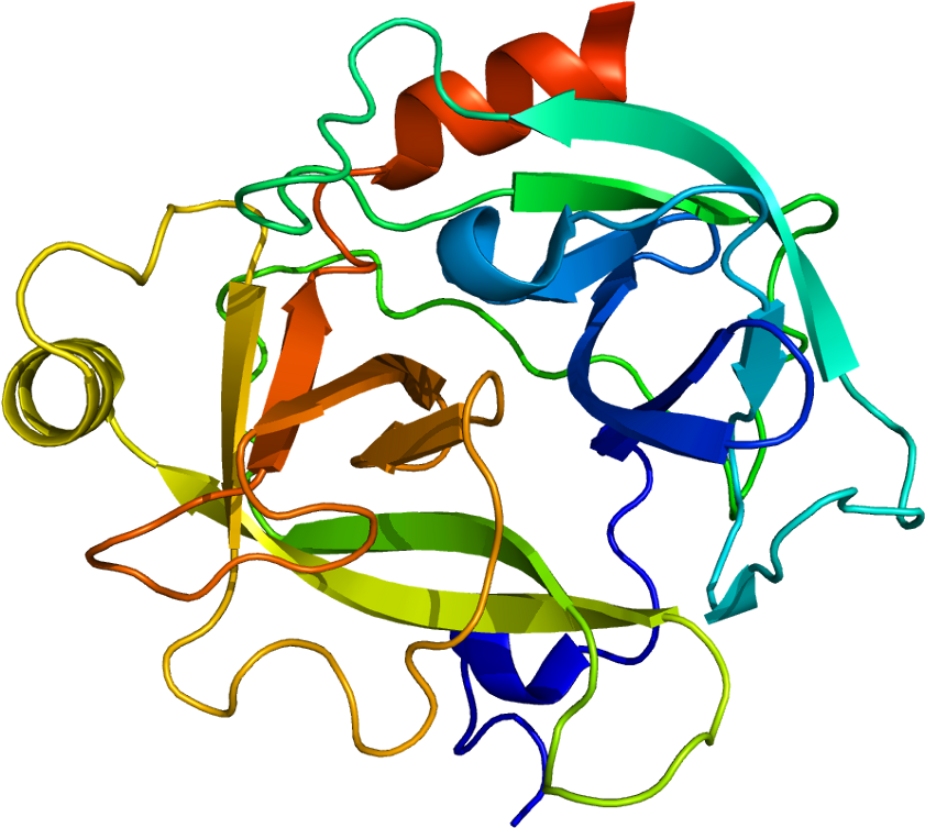 Klk6 Gene (890x802)