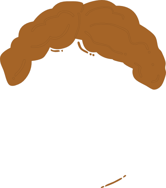 Boy Wig Clipart (528x599)
