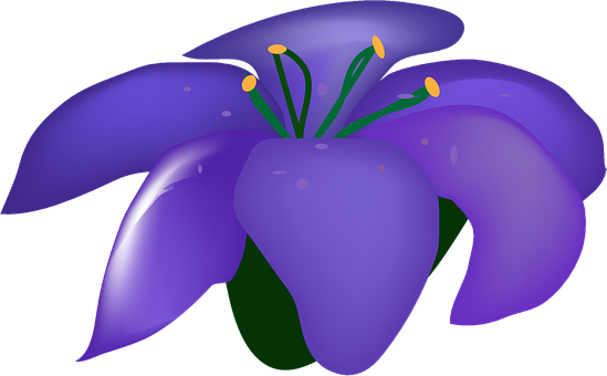 Flower, Violet, Bloom, Plant - Flor Violeta Vector (549x340)