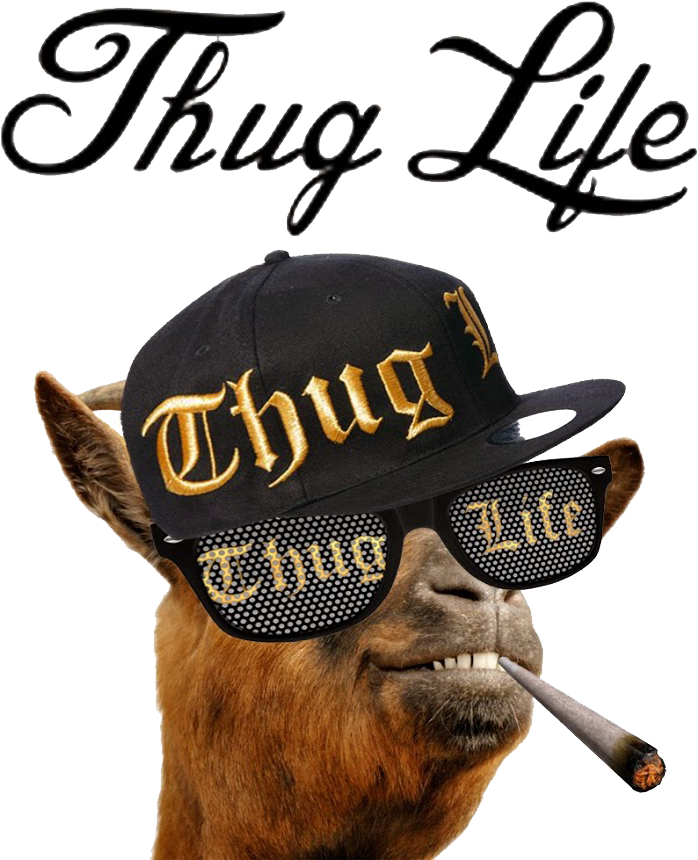Thug Life (900x900)
