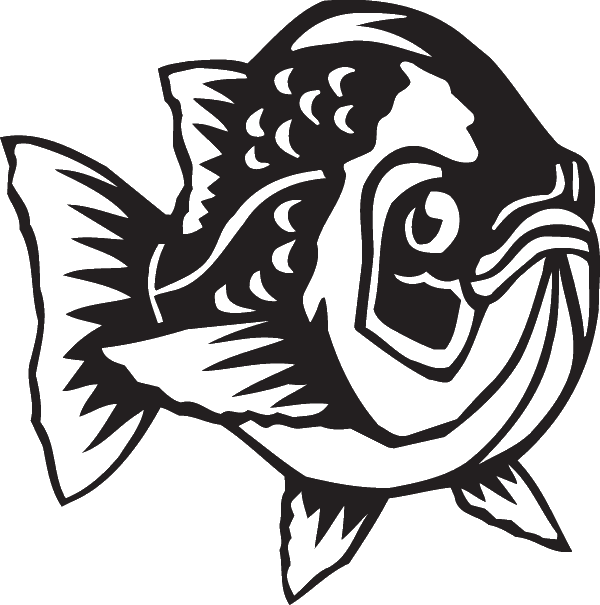 Pompano Decal - Illustration (600x605)