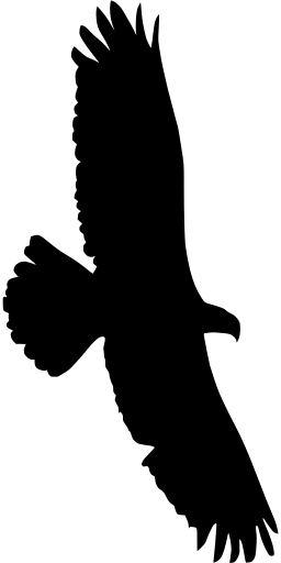 Info - Eagle (256x512)